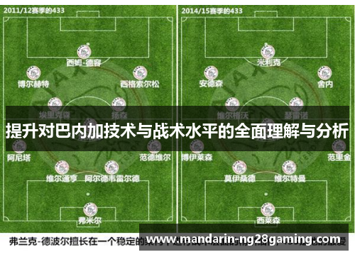 提升对巴内加技术与战术水平的全面理解与分析