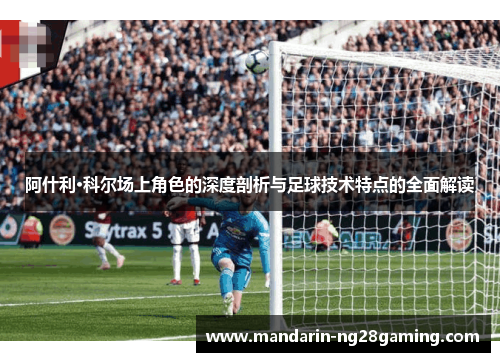 阿什利·科尔场上角色的深度剖析与足球技术特点的全面解读