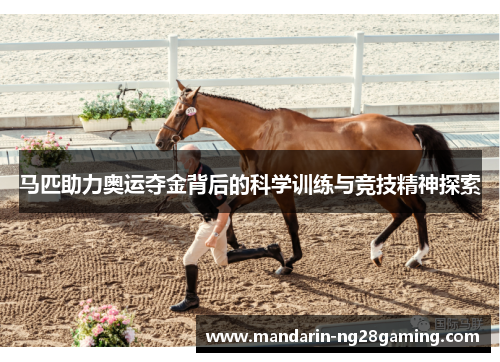 马匹助力奥运夺金背后的科学训练与竞技精神探索