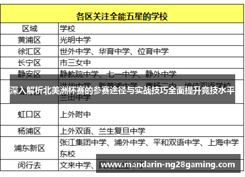 深入解析北美洲杯赛的参赛途径与实战技巧全面提升竞技水平