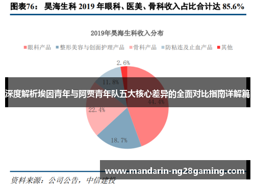 深度解析埃因青年与阿贾青年队五大核心差异的全面对比指南详解篇