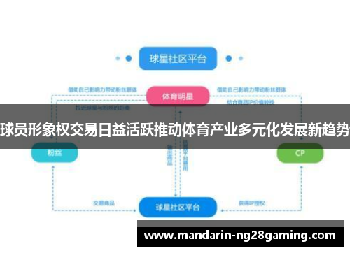 球员形象权交易日益活跃推动体育产业多元化发展新趋势