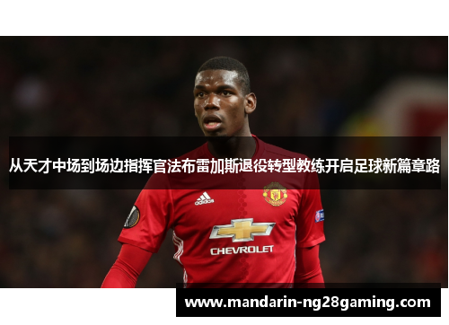 从天才中场到场边指挥官法布雷加斯退役转型教练开启足球新篇章路