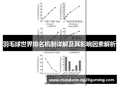 羽毛球世界排名机制详解及其影响因素解析 羽毛球世界排名机制详解及其影响因素解析