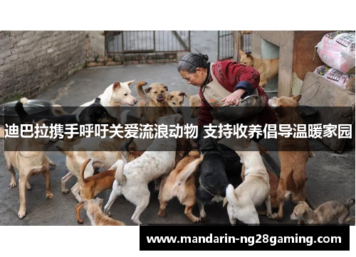 迪巴拉携手呼吁关爱流浪动物 支持收养倡导温暖家园