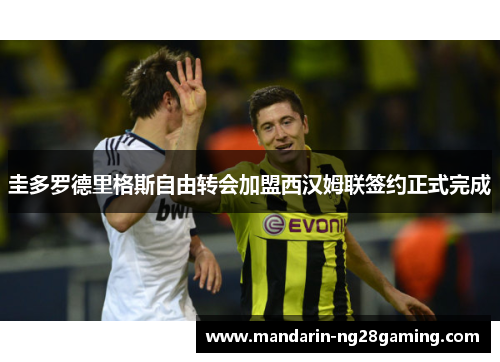 圭多罗德里格斯自由转会加盟西汉姆联签约正式完成