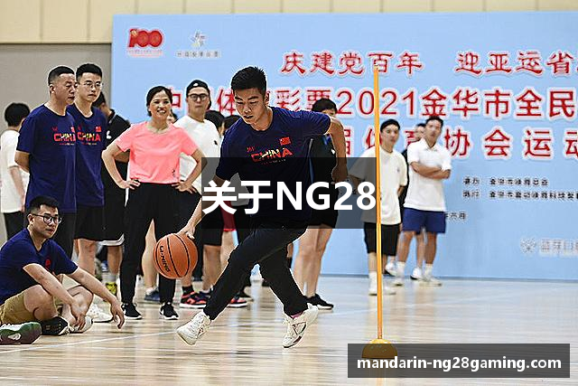 关于NG28